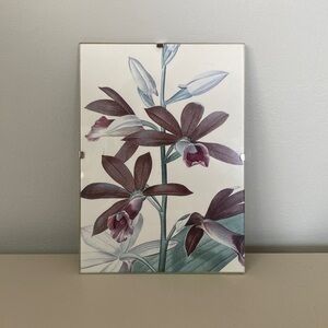 Vintage IKEA minimalist framed botanical print